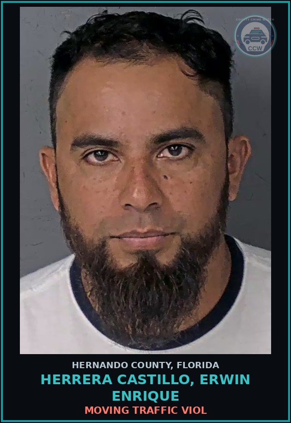 Booking mugshot of HERRERA CASTILLO, ERWIN ENRIQUE in Hernando County