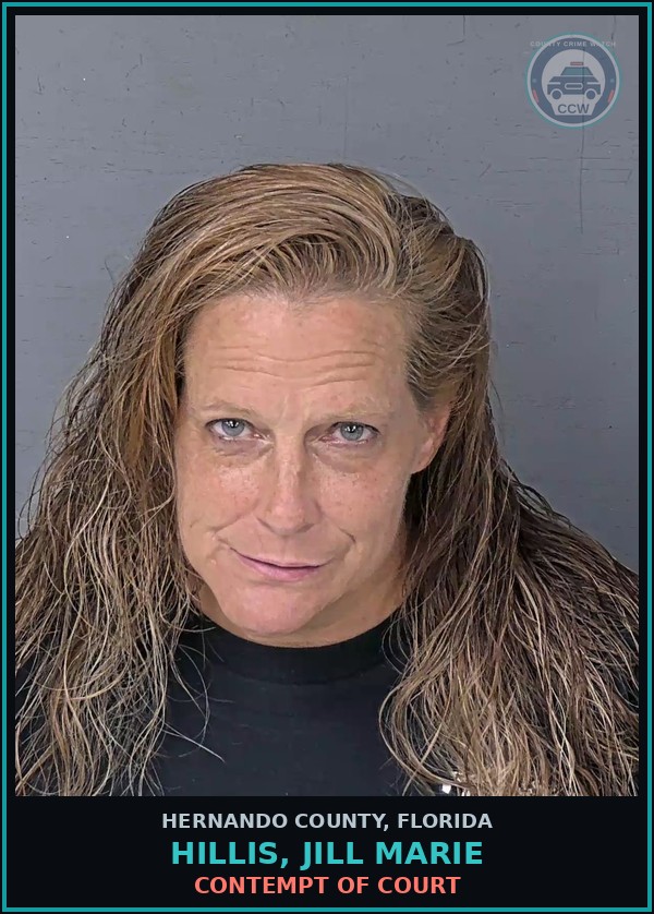 Booking mugshot of HILLIS, JILL MARIE in Hernando County