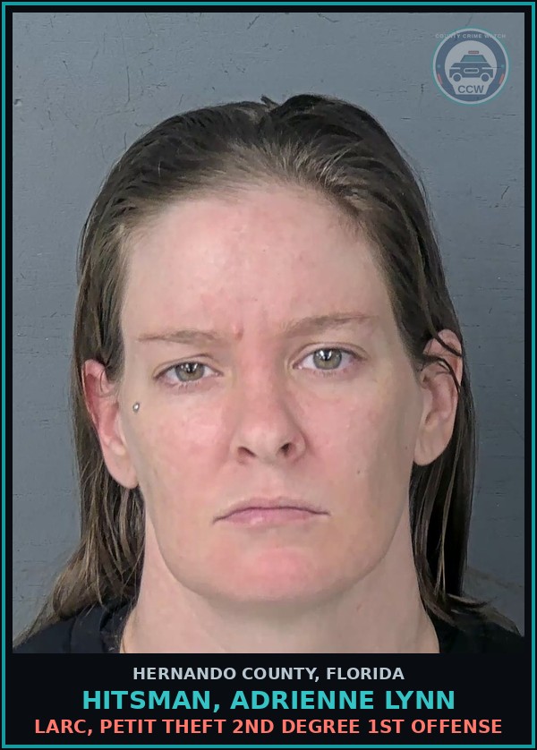 Booking mugshot of HITSMAN, ADRIENNE LYNN in Hernando County