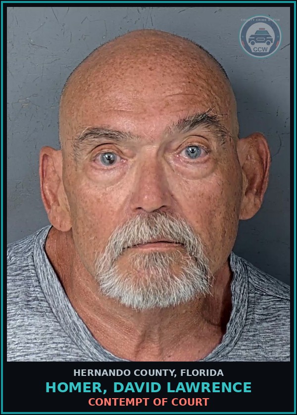 Booking mugshot of HOMER, DAVID LAWRENCE in Hernando County