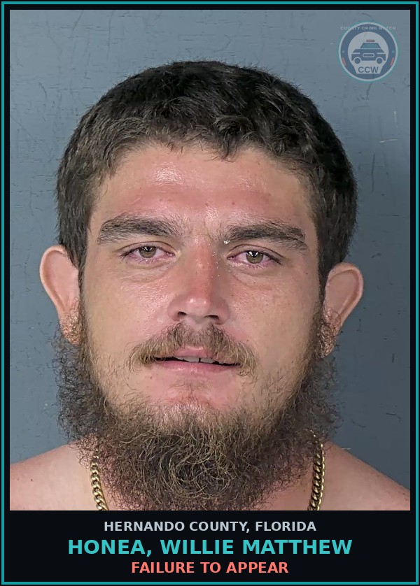 Booking mugshot of HONEA, WILLIE MATTHEW in Hernando County