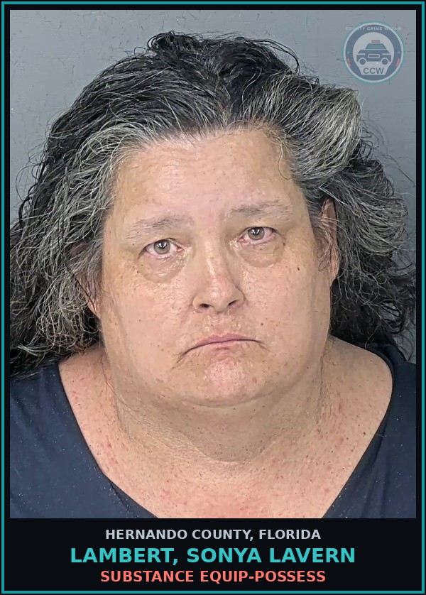 Booking mugshot of LAMBERT, SONYA LAVERN in Hernando County