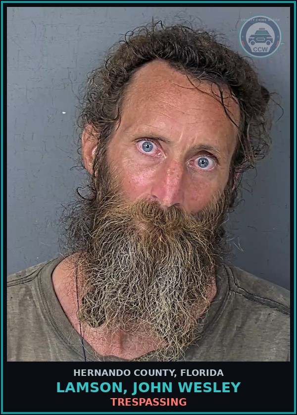 Booking mugshot of LAMSON, JOHN WESLEY in Hernando County