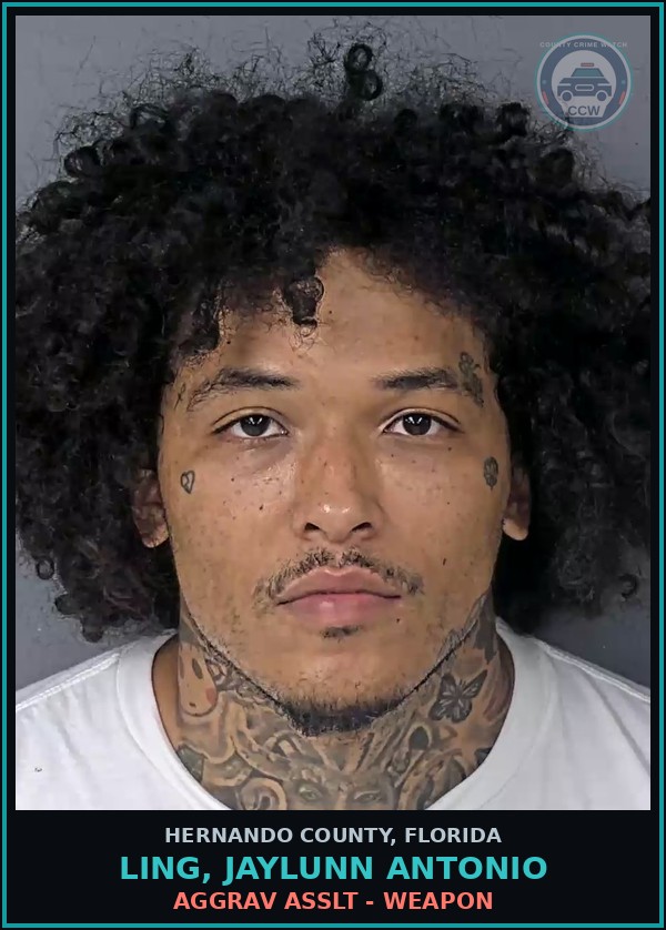 Booking mugshot of LING, JAYLUNN ANTONIO in Hernando County
