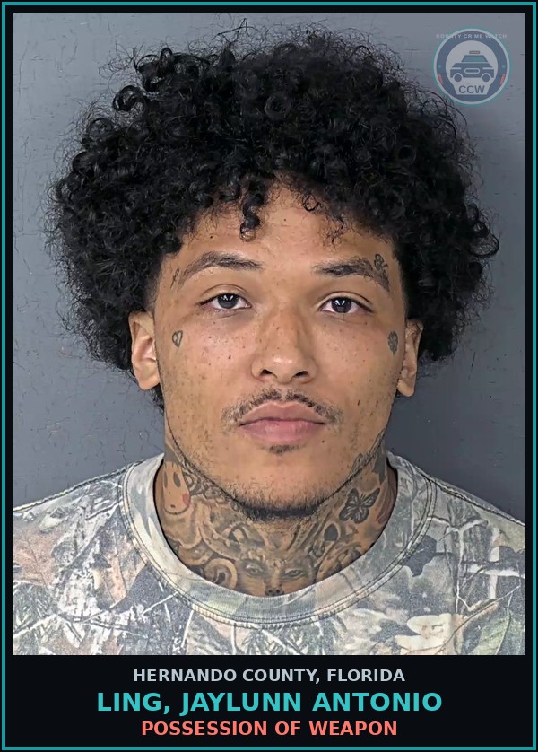 Booking mugshot of LING, JAYLUNN ANTONIO in Hernando County