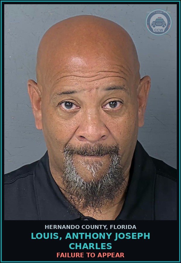 Booking mugshot of LOUIS, ANTHONY JOSEPH CHARLES in Hernando County