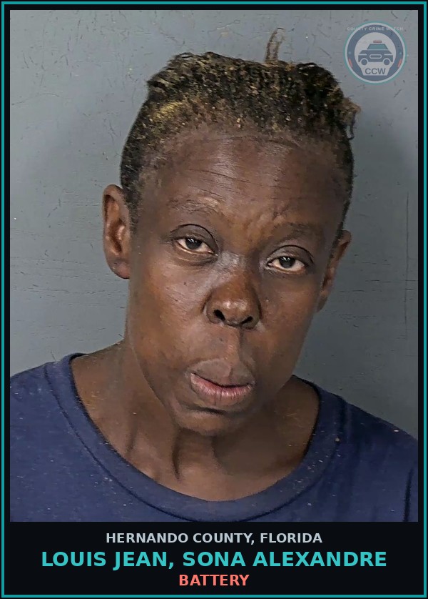 Booking mugshot of LOUIS JEAN, SONA ALEXANDRE in Hernando County