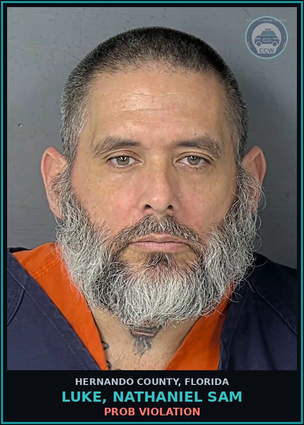 Booking mugshot of LUKE, NATHANIEL SAM in Hernando County