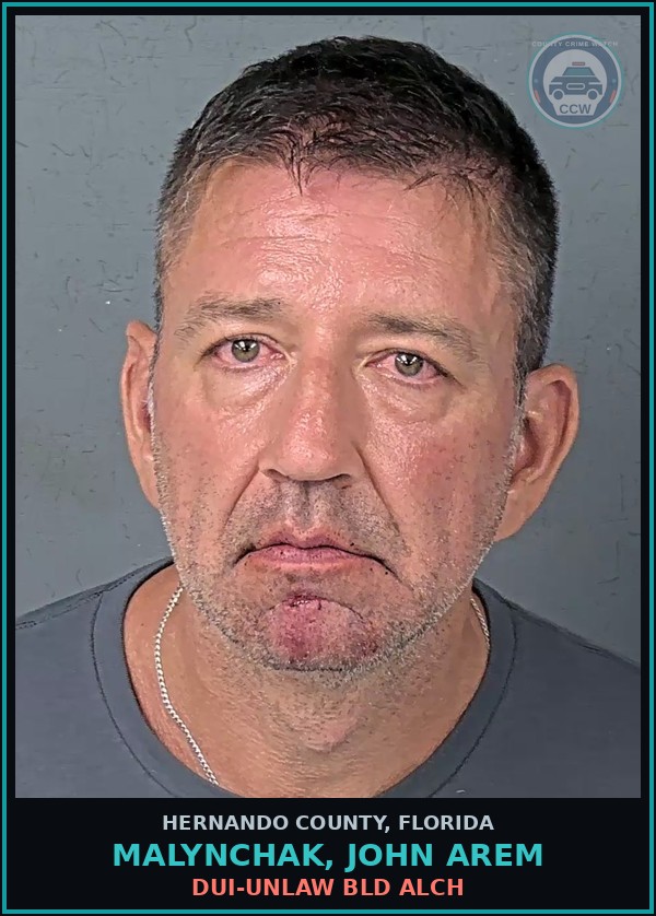 Booking mugshot of MALYNCHAK, JOHN AREM in Hernando County