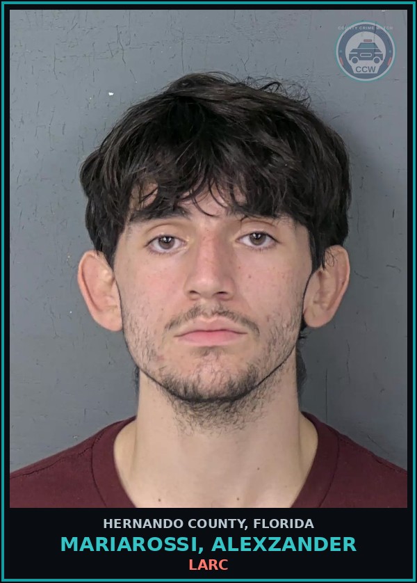 Booking mugshot of MARIAROSSI, ALEXZANDER in Hernando County