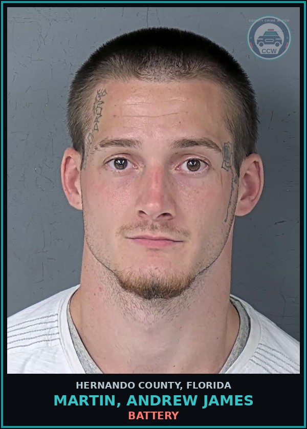Booking mugshot of MARTIN, ANDREW JAMES in Hernando County