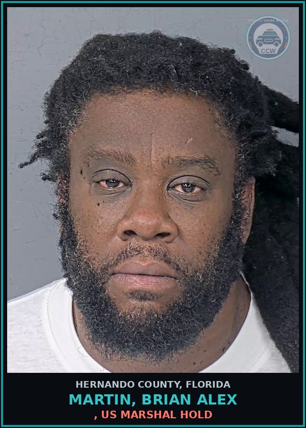 Booking mugshot of MARTIN, BRIAN ALEX in Hernando County
