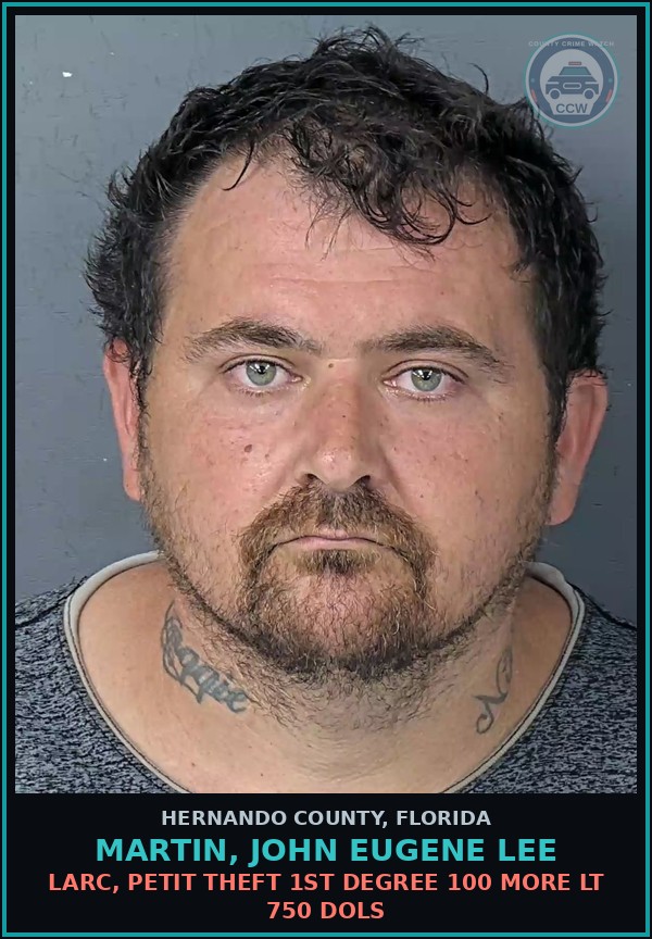 Booking mugshot of MARTIN, JOHN EUGENE LEE in Hernando County
