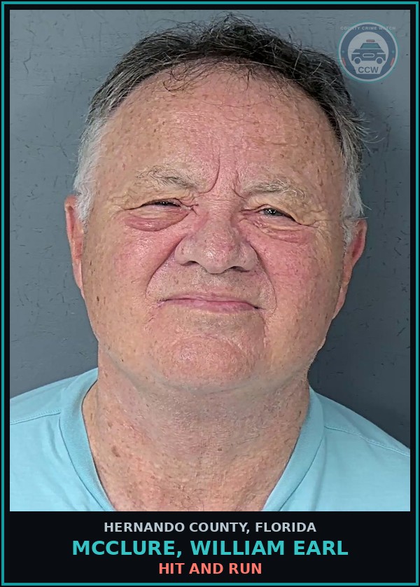 Booking mugshot of MCCLURE, WILLIAM EARL in Hernando County