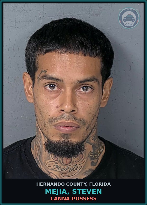 Booking mugshot of MEJIA, STEVEN in Hernando County