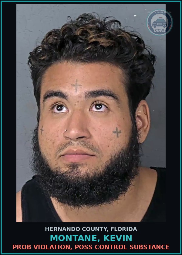 Booking mugshot of MONTANE, KEVIN in Hernando County