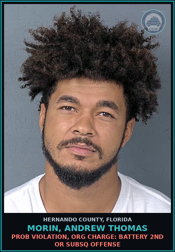 Booking mugshot of MORIN, ANDREW THOMAS in Hernando County