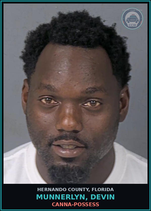 Booking mugshot of MUNNERLYN, DEVIN in Hernando County