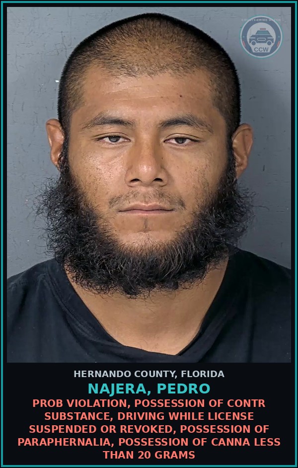 Booking mugshot of NAJERA, PEDRO in Hernando County
