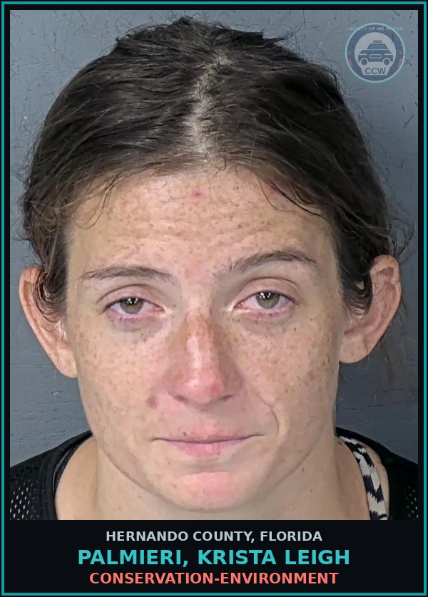 Booking mugshot of PALMIERI, KRISTA LEIGH in Hernando County