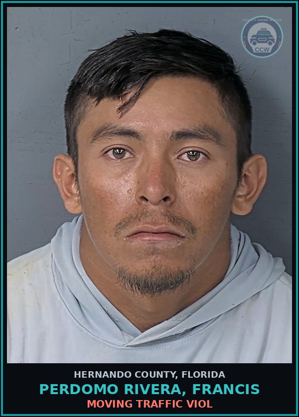 Booking mugshot of PERDOMO RIVERA, FRANCIS in Hernando County