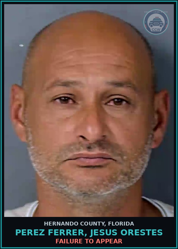 Booking mugshot of PEREZ FERRER, JESUS ORESTES in Hernando County