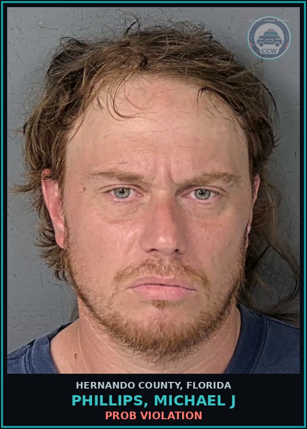 Booking mugshot of PHILLIPS, MICHAEL J in Hernando County