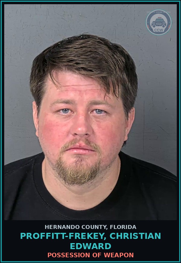 Booking mugshot of PROFFITT-FREKEY, CHRISTIAN EDWARD in Hernando County