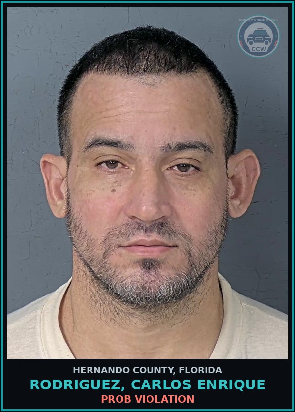 Booking mugshot of RODRIGUEZ, CARLOS ENRIQUE in Hernando County