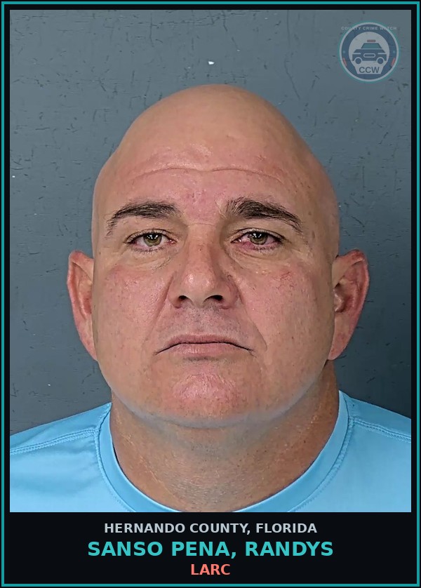Booking mugshot of SANSO PENA, RANDYS in Hernando County