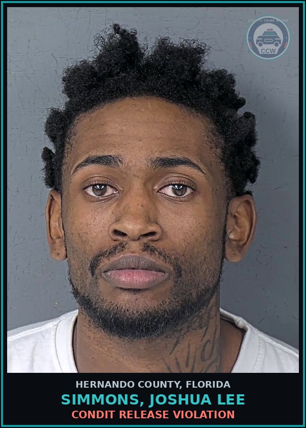 Booking mugshot of SIMMONS, JOSHUA LEE in Hernando County