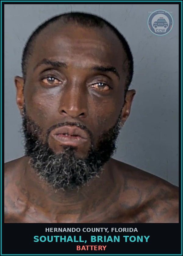 Booking mugshot of SOUTHALL, BRIAN TONY in Hernando County