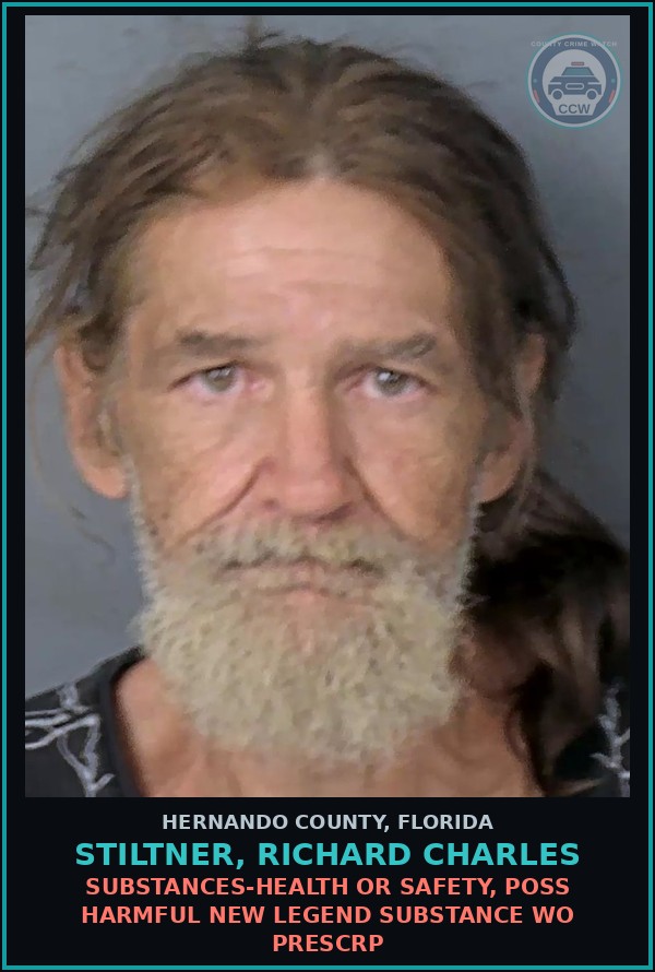 Booking mugshot of STILTNER, RICHARD CHARLES in Hernando County
