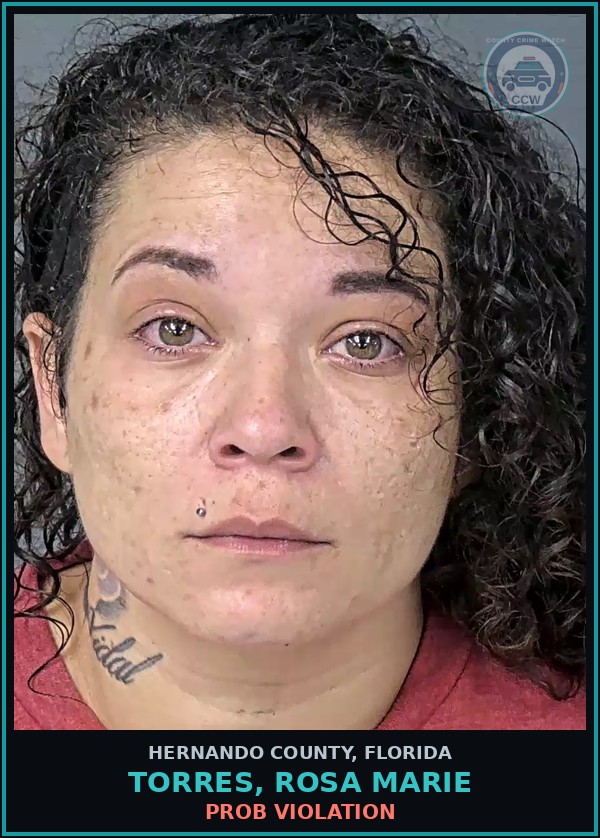 Booking mugshot of TORRES, ROSA MARIE in Hernando County