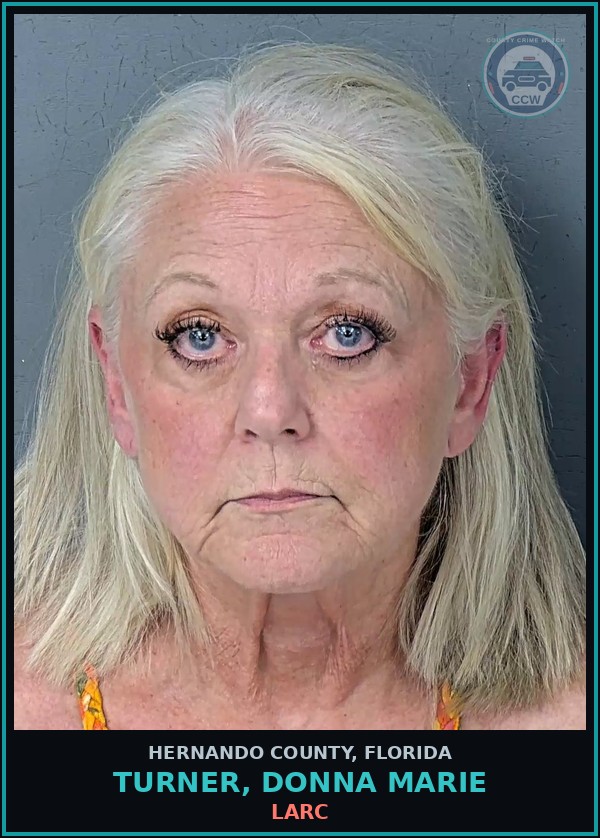 Booking mugshot of TURNER, DONNA MARIE in Hernando County
