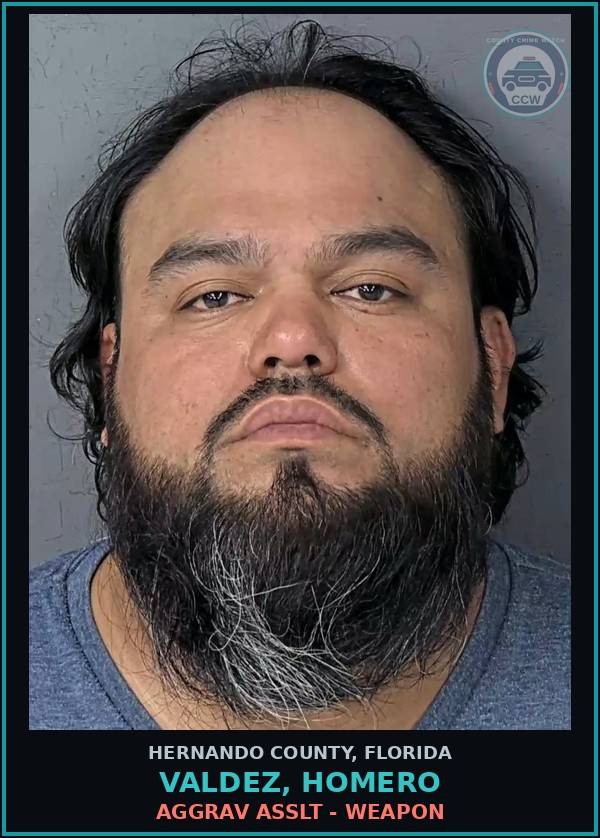Booking mugshot of VALDEZ, HOMERO in Hernando County