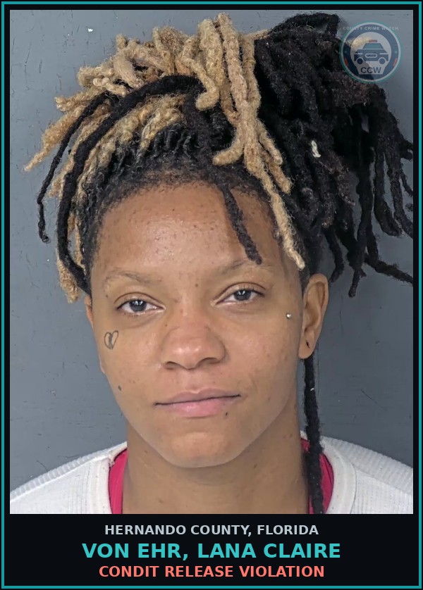 Booking mugshot of VON EHR, LANA CLAIRE in Hernando County