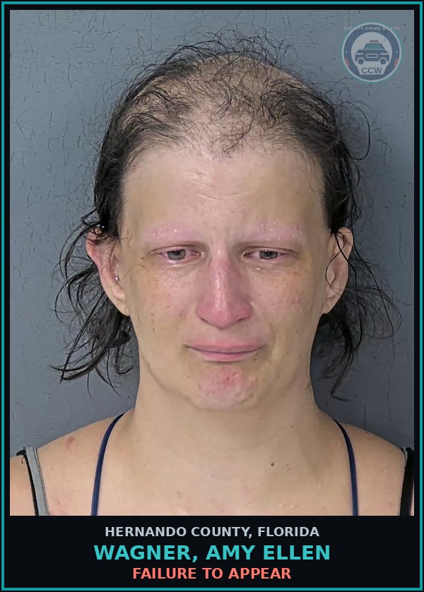 Booking mugshot of WAGNER, AMY ELLEN in Hernando County