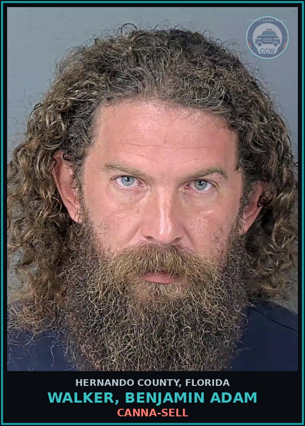 Booking mugshot of WALKER, BENJAMIN ADAM in Hernando County