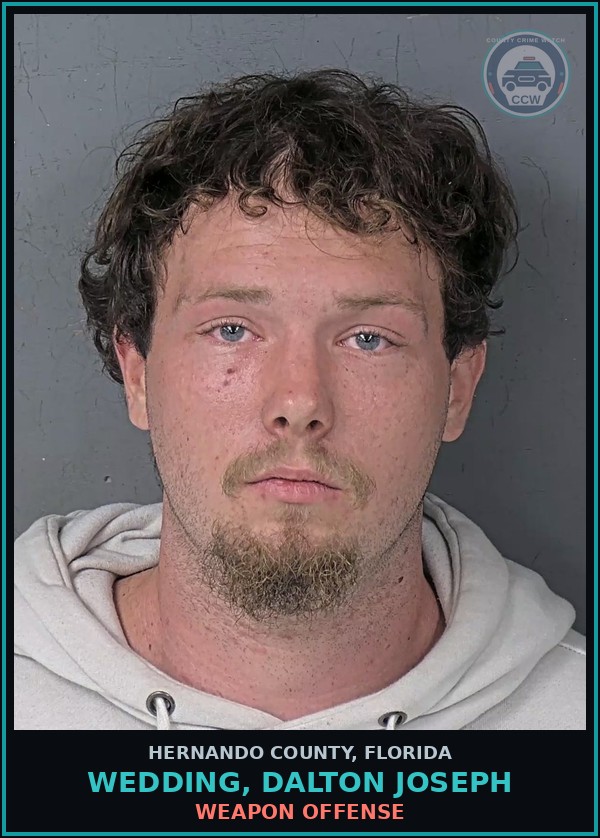 Booking mugshot of WEDDING, DALTON JOSEPH in Hernando County