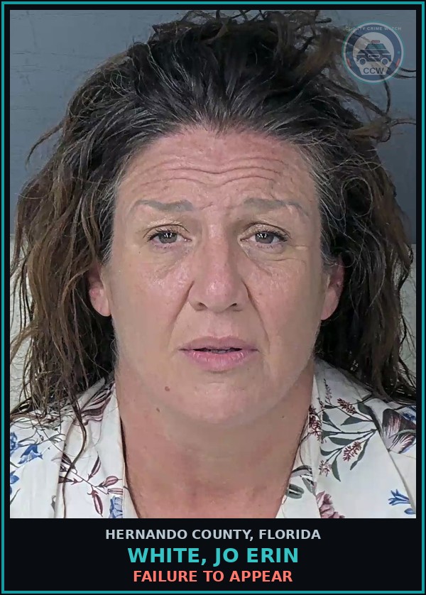 Booking mugshot of WHITE, JO ERIN in Hernando County