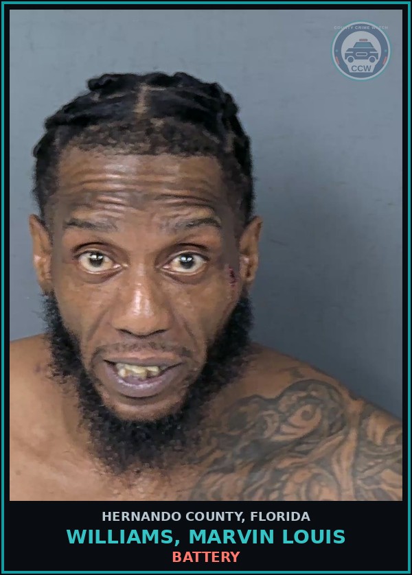 Booking mugshot of WILLIAMS, MARVIN LOUIS in Hernando County