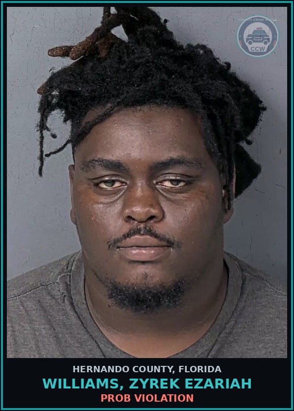 Booking mugshot of WILLIAMS, ZYREK EZARIAH in Hernando County