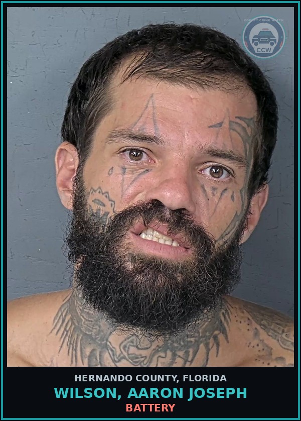 Booking mugshot of WILSON, AARON JOSEPH in Hernando County