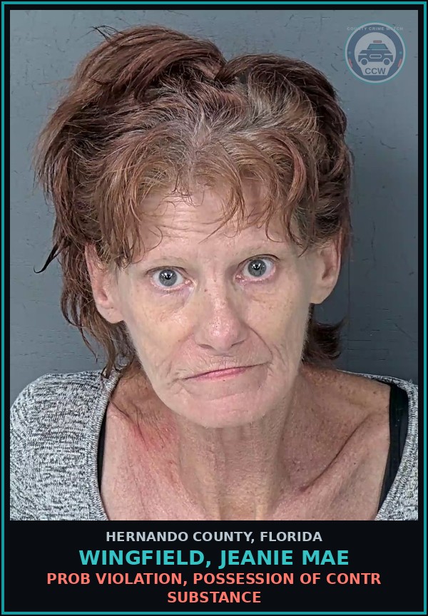 Booking mugshot of WINGFIELD, JEANIE MAE in Hernando County