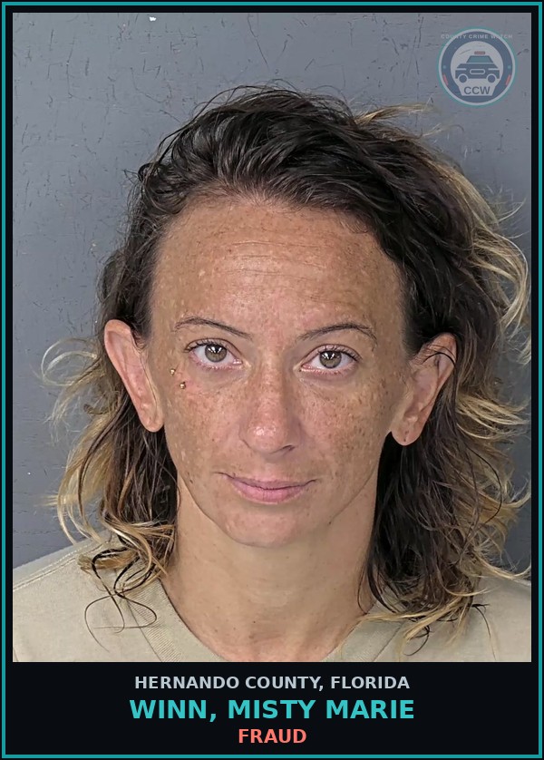 Booking mugshot of WINN, MISTY MARIE in Hernando County