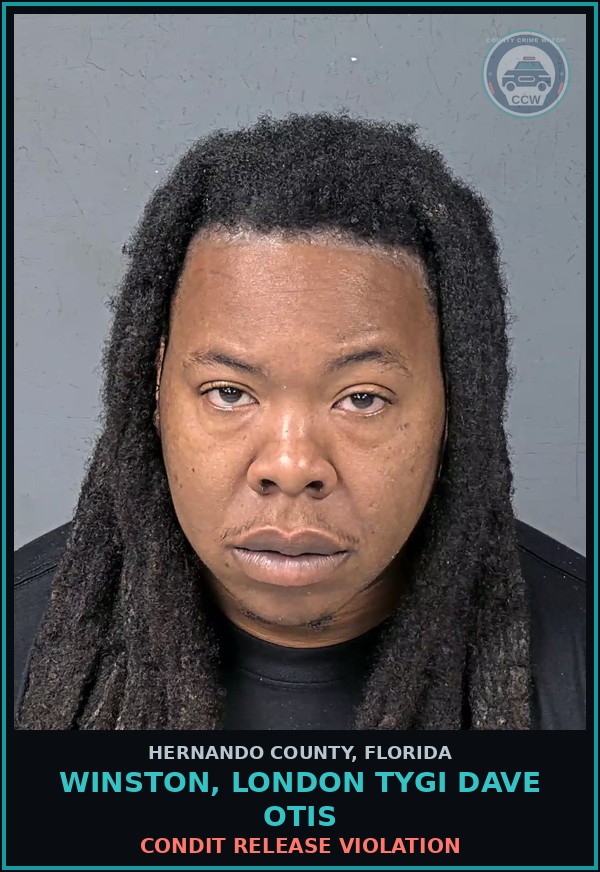 Booking mugshot of WINSTON, LONDON TYGI DAVE OTIS in Hernando County