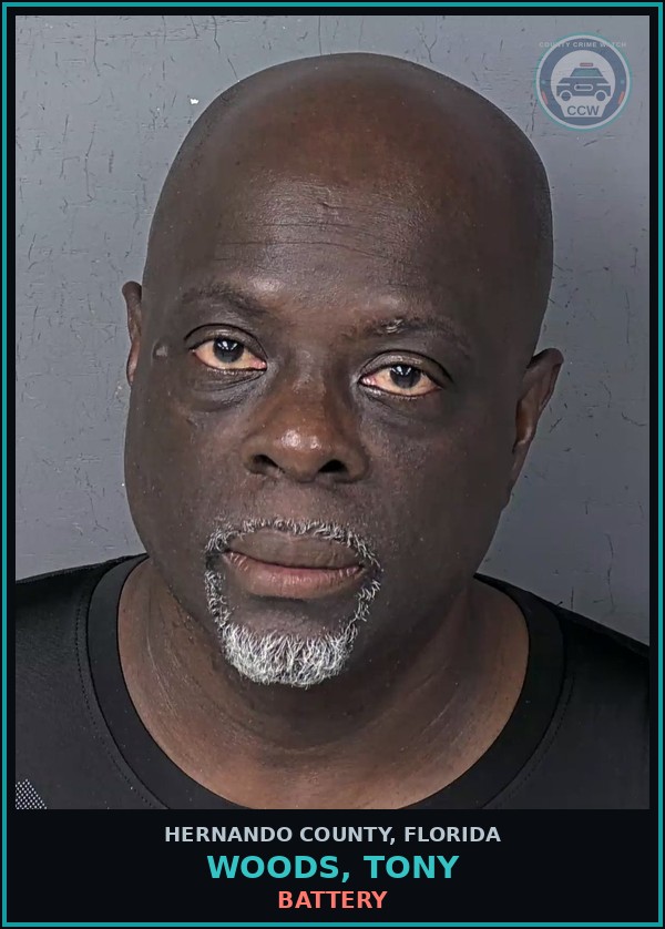 Booking mugshot of WOODS, TONY in Hernando County