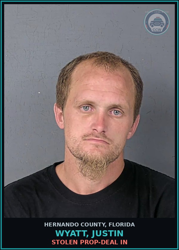 Booking mugshot of WYATT, JUSTIN in Hernando County