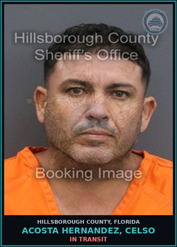 Booking mugshot of ACOSTA HERNANDEZ, CELSO in Hillsborough County